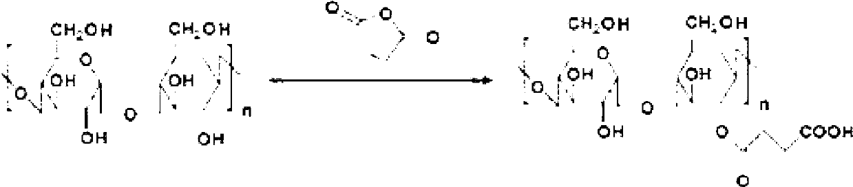 Pharmaceutic adjuvant with collaborative work and anti-tumor application thereof