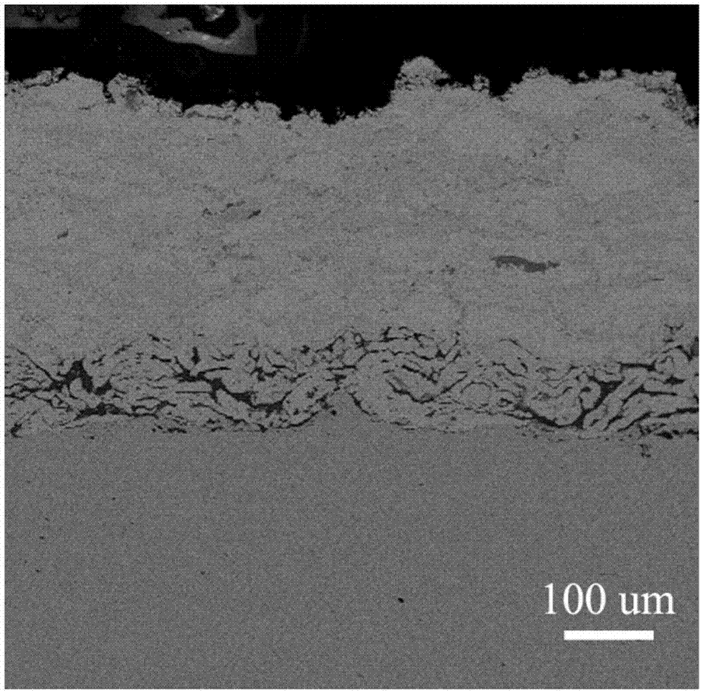 High-temperature-corrosion-resistant paint, preparation method thereof, high-temperature-corrosion-resistant coating and preparation method thereof