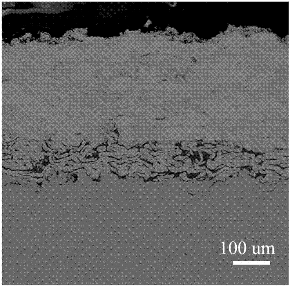 High-temperature-corrosion-resistant paint, preparation method thereof, high-temperature-corrosion-resistant coating and preparation method thereof