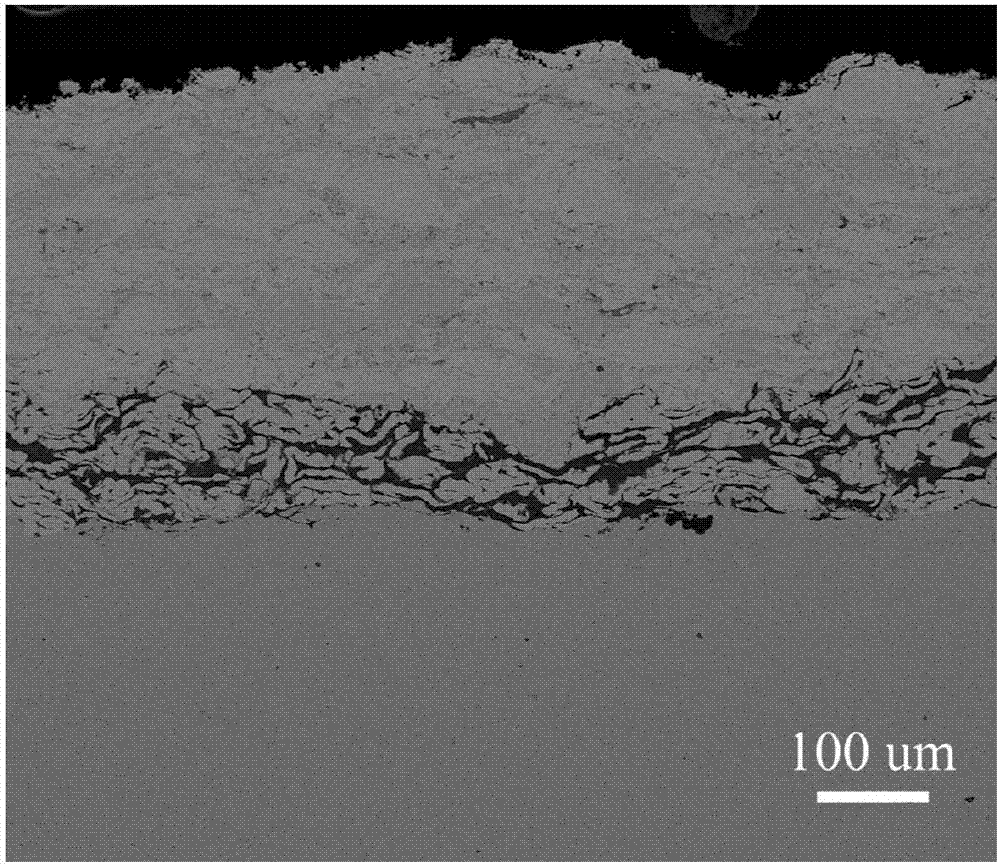 High-temperature-corrosion-resistant paint, preparation method thereof, high-temperature-corrosion-resistant coating and preparation method thereof