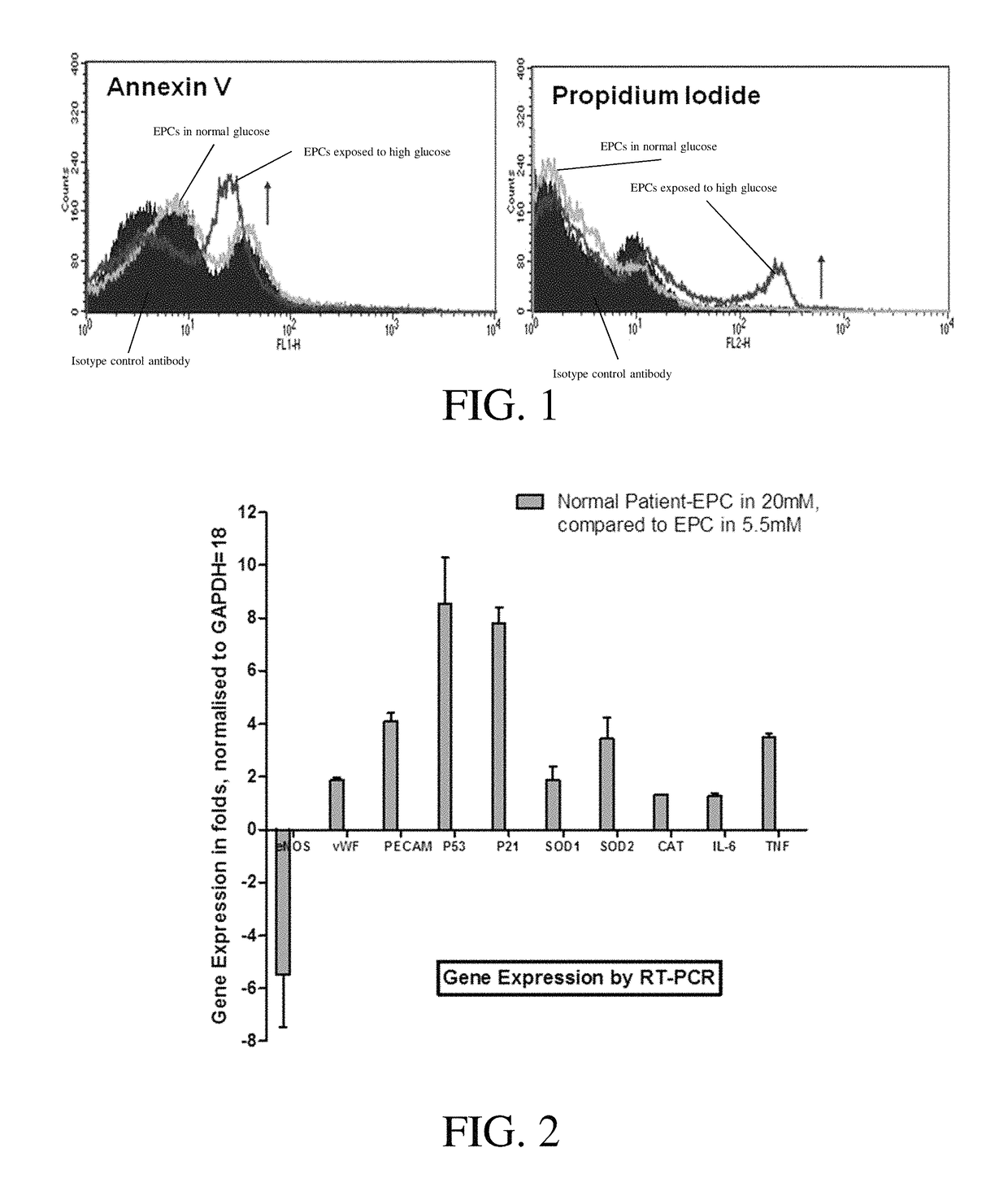 P53 silenced endothelial progenitor cells for diabetes