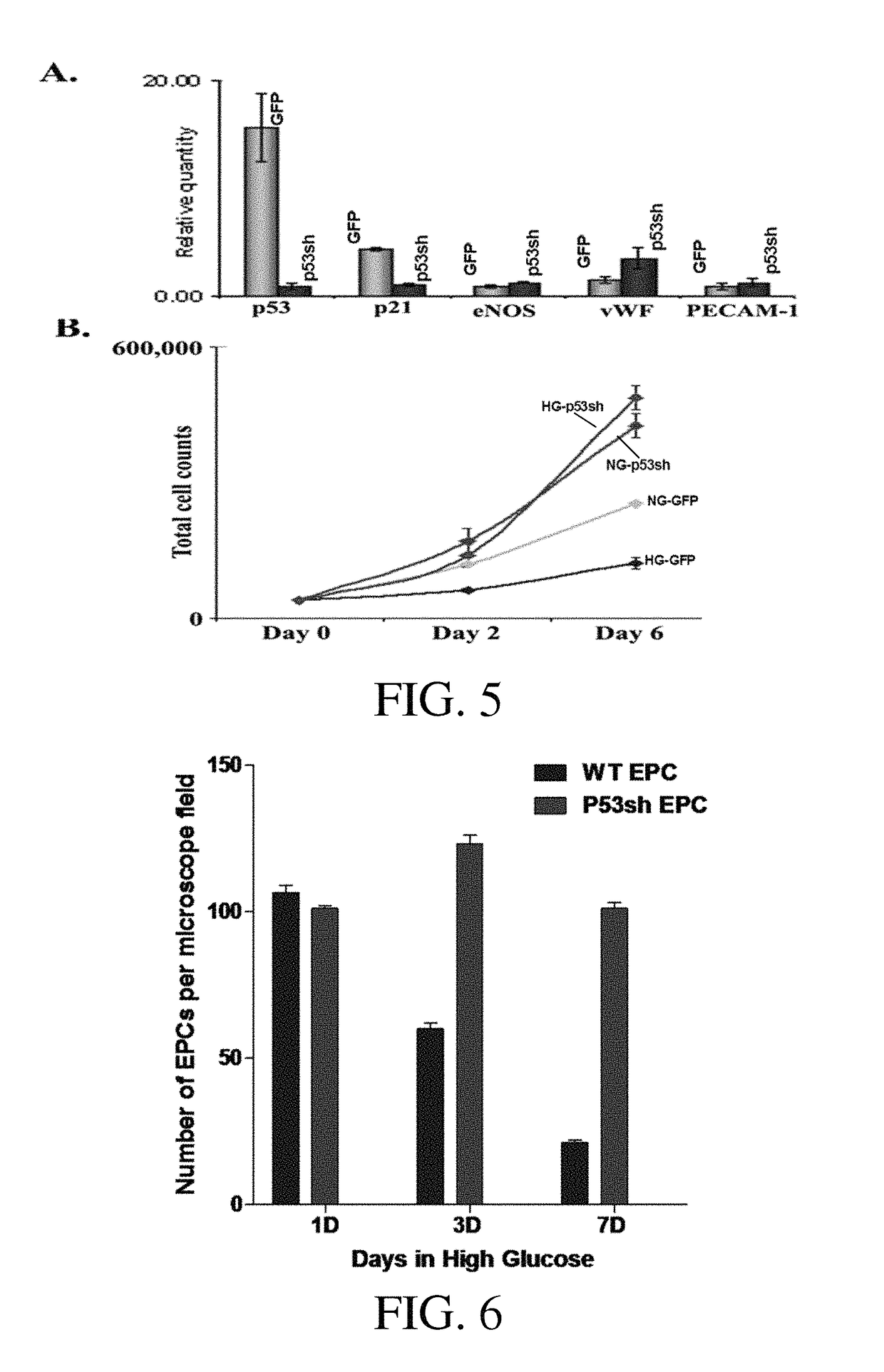 P53 silenced endothelial progenitor cells for diabetes