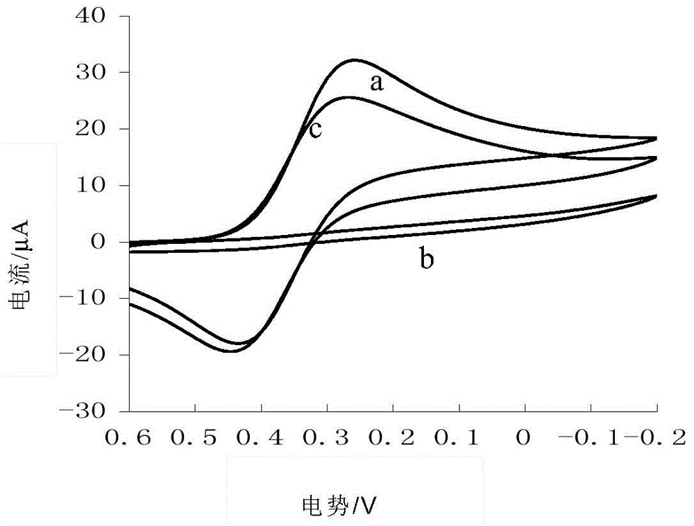 A kind of preparation method of dicyandiamide molecularly imprinted polymer membrane electrode