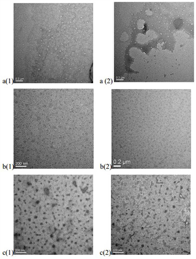 Heparin nano-drug loading system for loading amino anti-tumor drug and preparation method of heparin nano-drug loading system