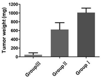 Heparin nano-drug loading system for loading amino anti-tumor drug and preparation method of heparin nano-drug loading system