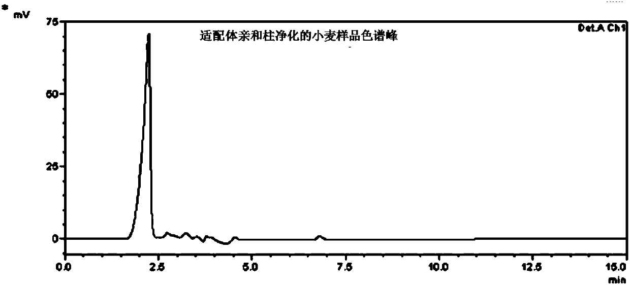 Vomitoxin aptamer affinity column and preparation method and application thereof