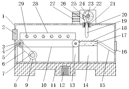 Slicing machine for traditional Chinese medicine decoction pieces