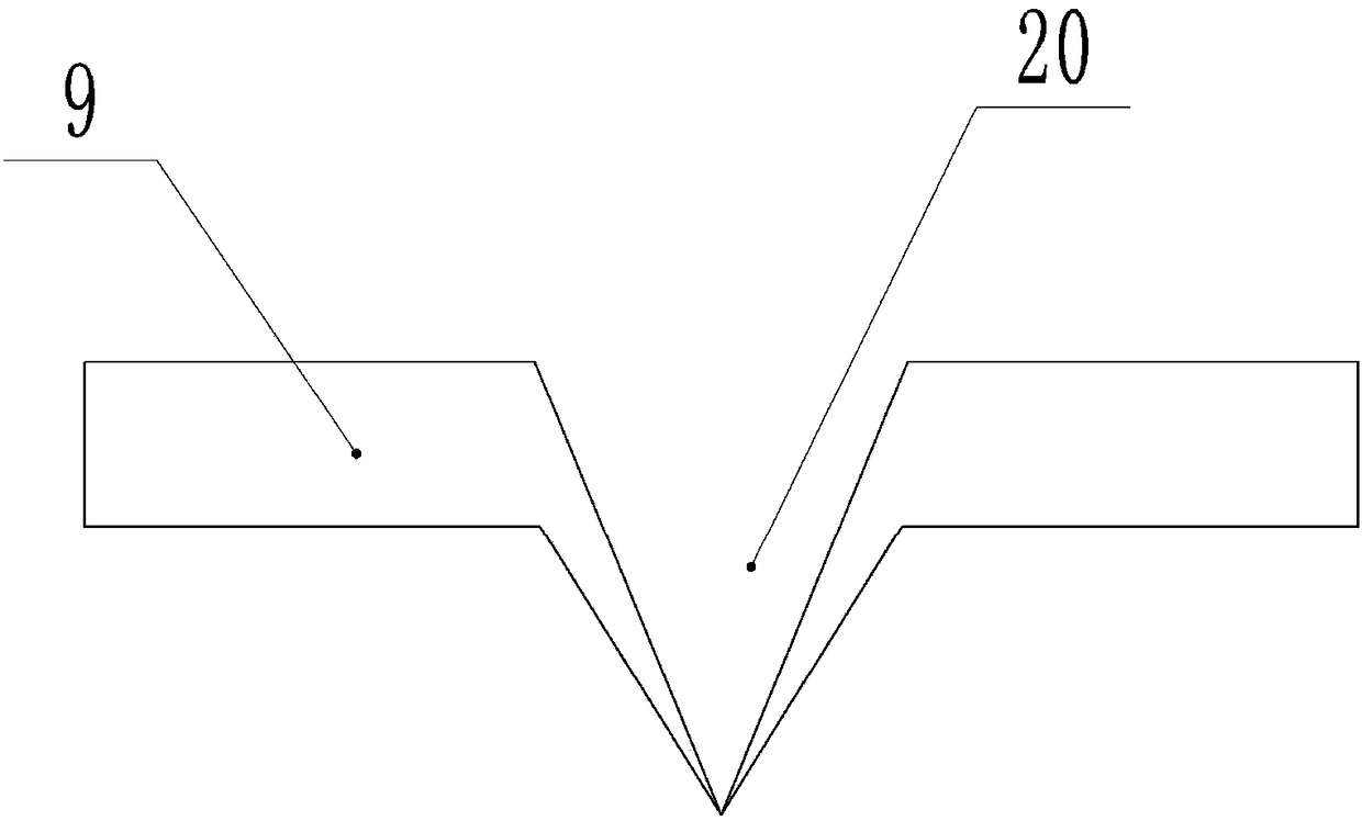 Device for high-efficiency grafting of Chinese torreya