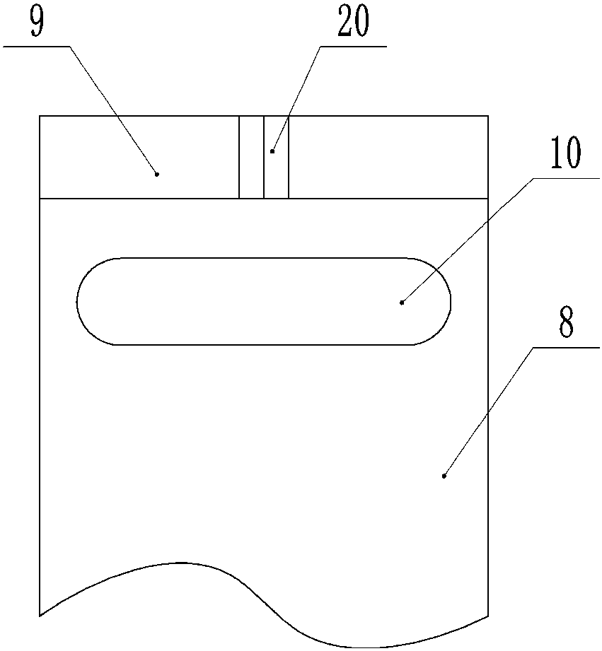 Device for high-efficiency grafting of Chinese torreya