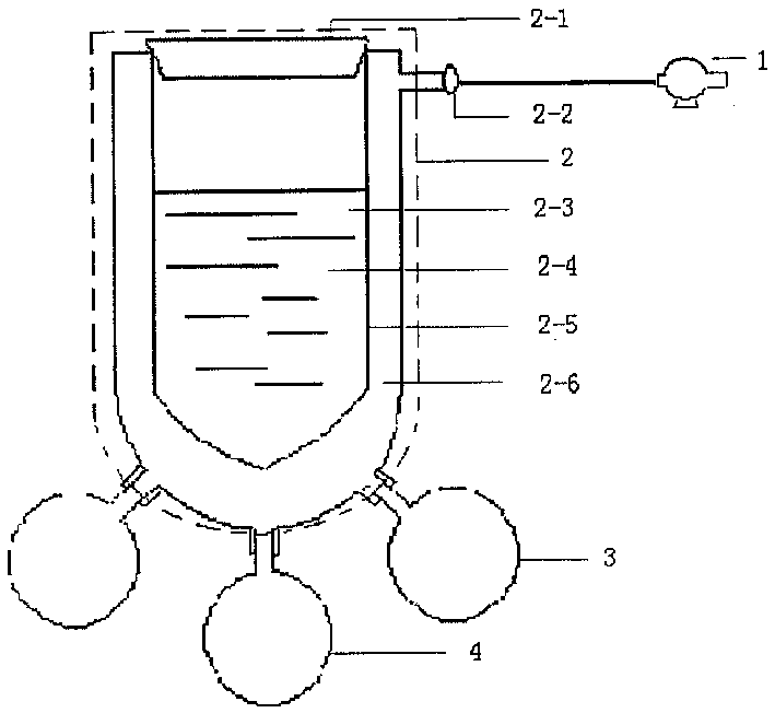 Mini fast vacuum freeze-drier and its drying method