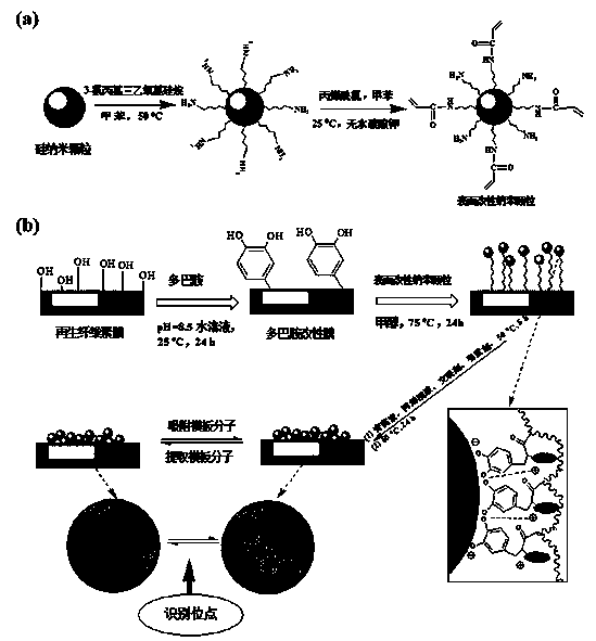 Preparation method of bionic artemisinin molecular imprinting composite membrane