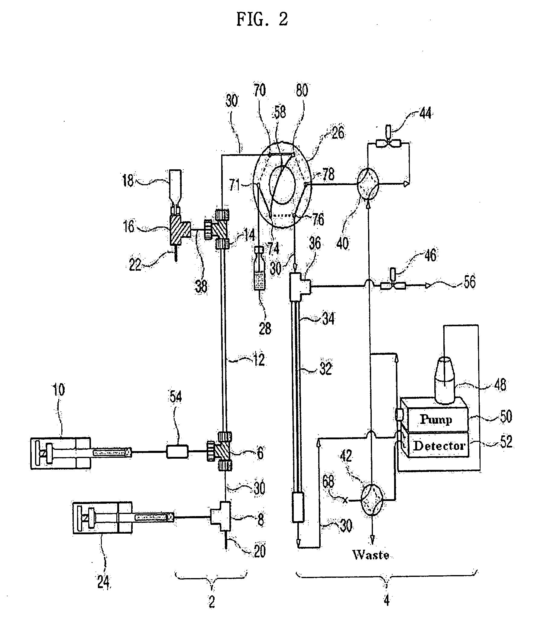 Apparatus for Protein Separation Using Capillary Isoelectric Focusing-Hollow Fiber Flow Field Flow Fractionation and Method Thereof