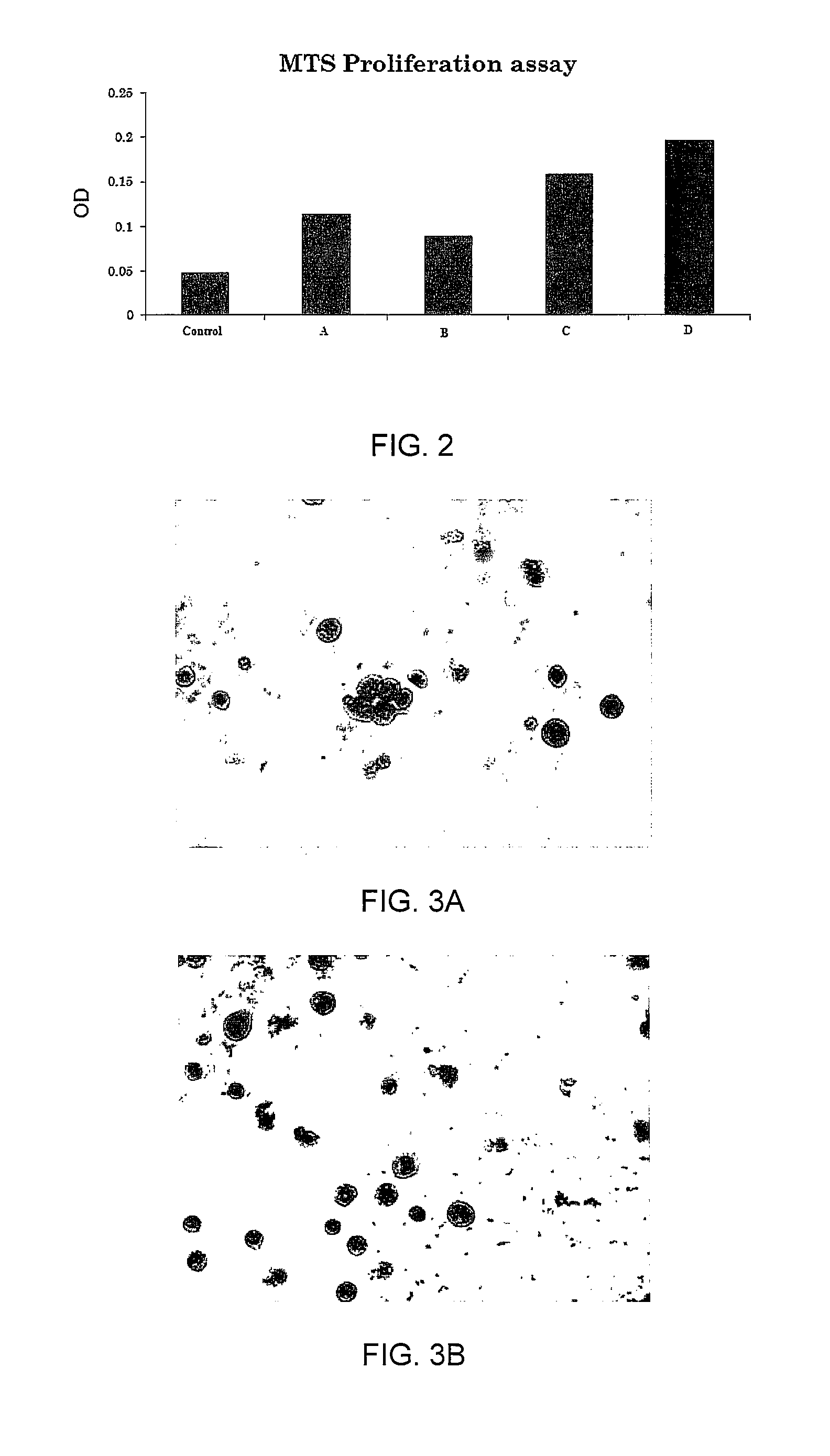 Enhanced animal cell growth using ultrasound