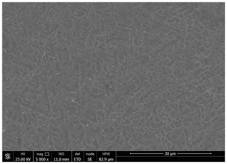 Amorphous coating preparation method based on laser cladding and pulsed electron beam irradiation