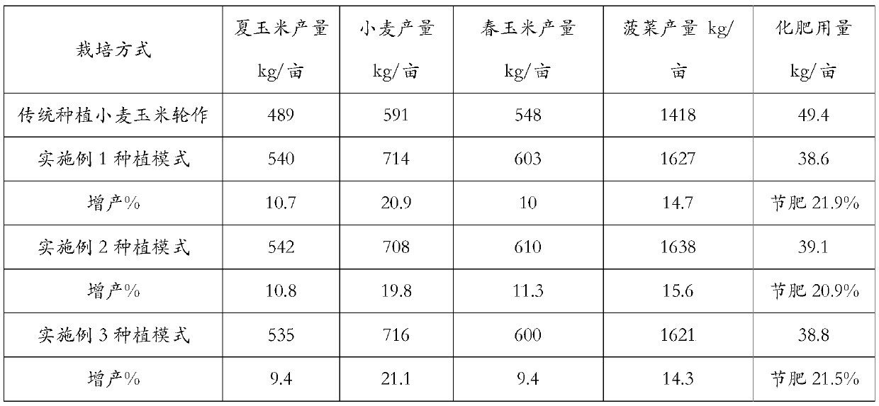 Wheat-spinach-corn-green mature intercropping planting and cultivating method