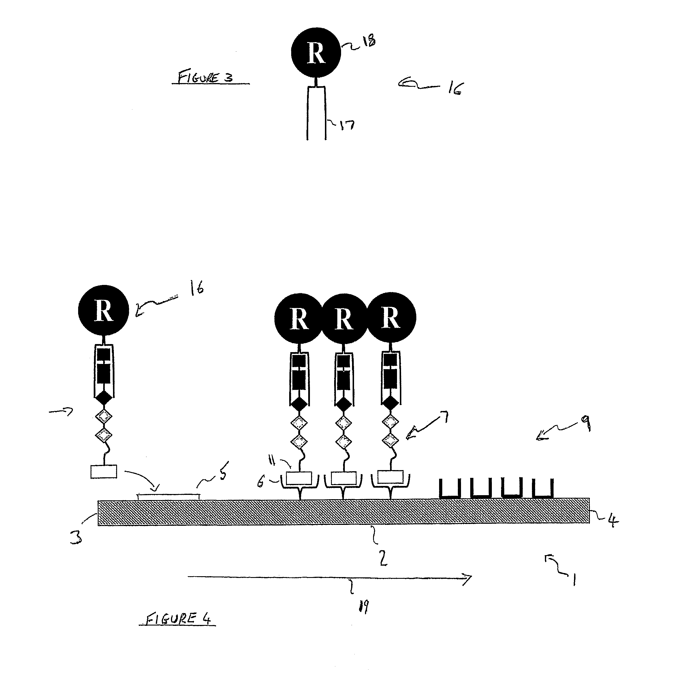 Enzyme detection device