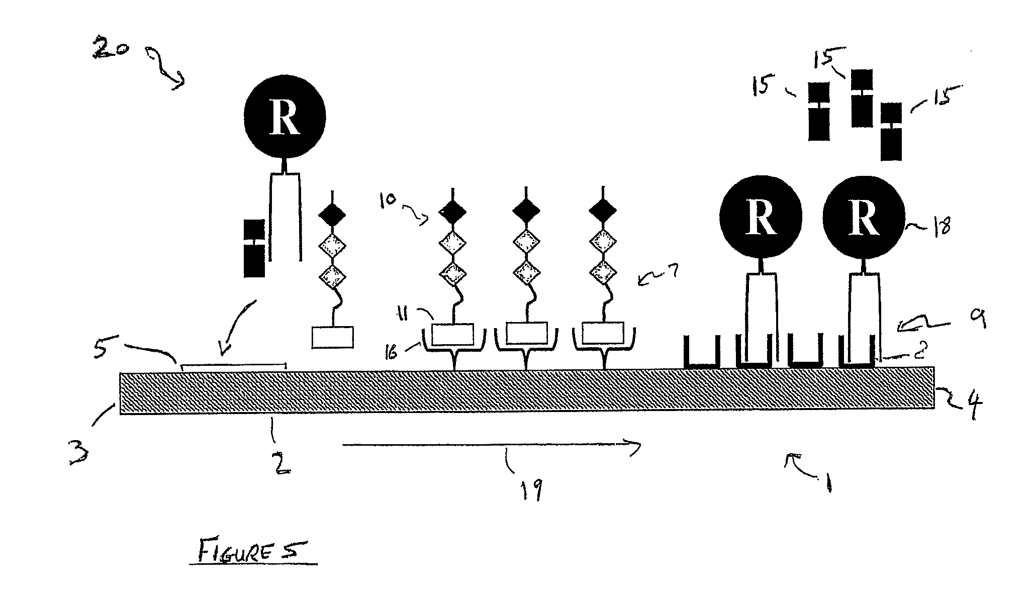 Enzyme detection device