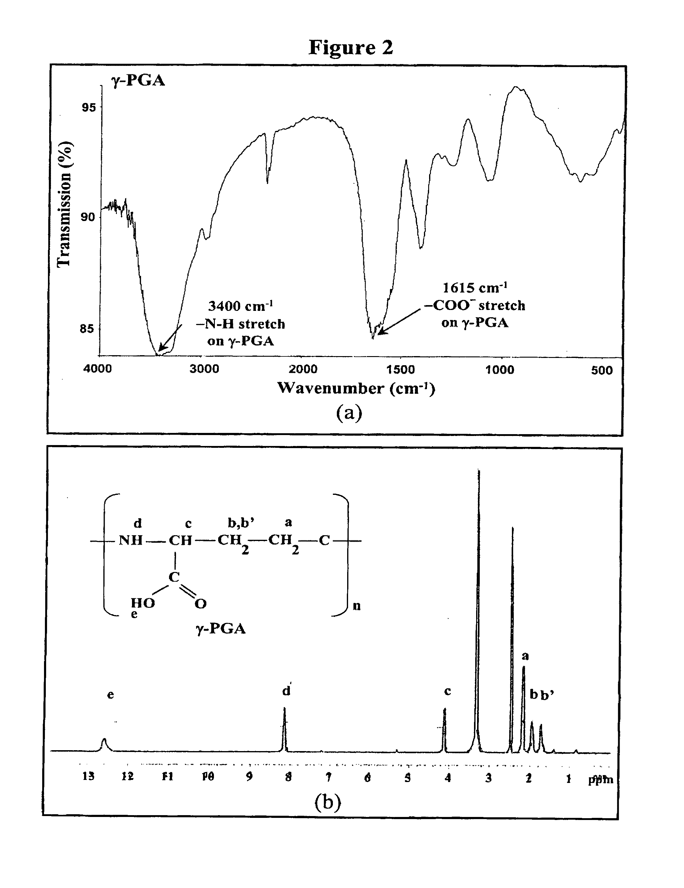 Nanoparticles for protein drug delivery