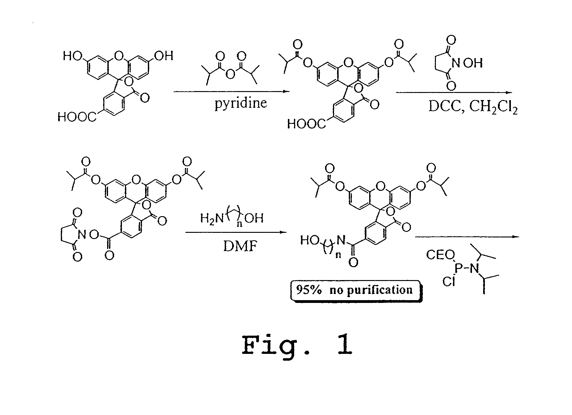 Methods and compositions for analyzing proteins