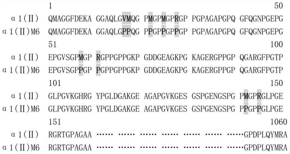 Recombinant collagen as well as preparation method and application thereof