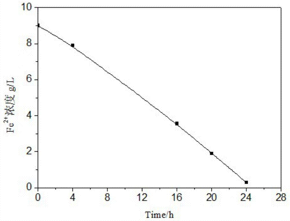 A fluorine-resistant ore leaching bacteria and its high-efficiency leaching process applied to high-fluoride uranium ore