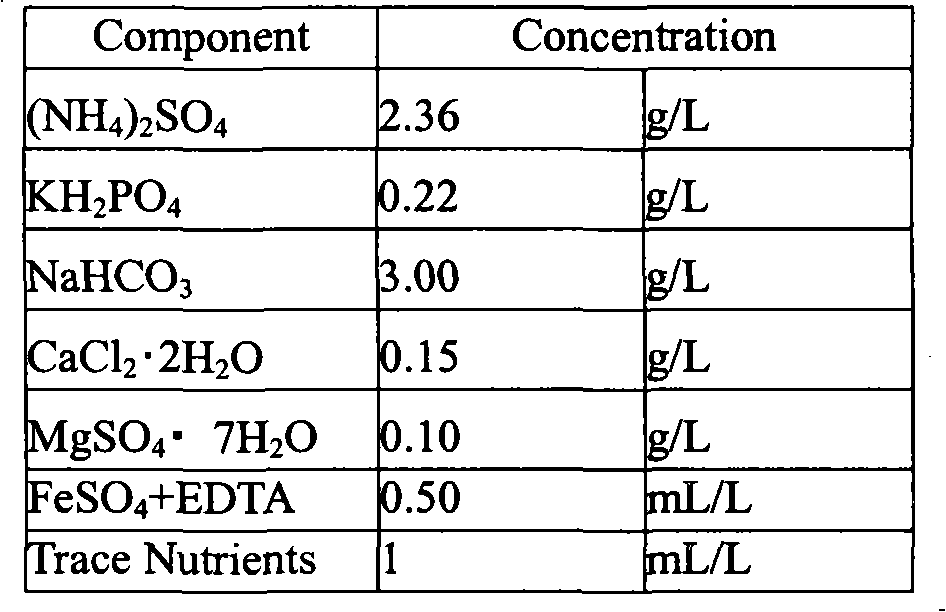 Nitrogen-containing waster water purification method