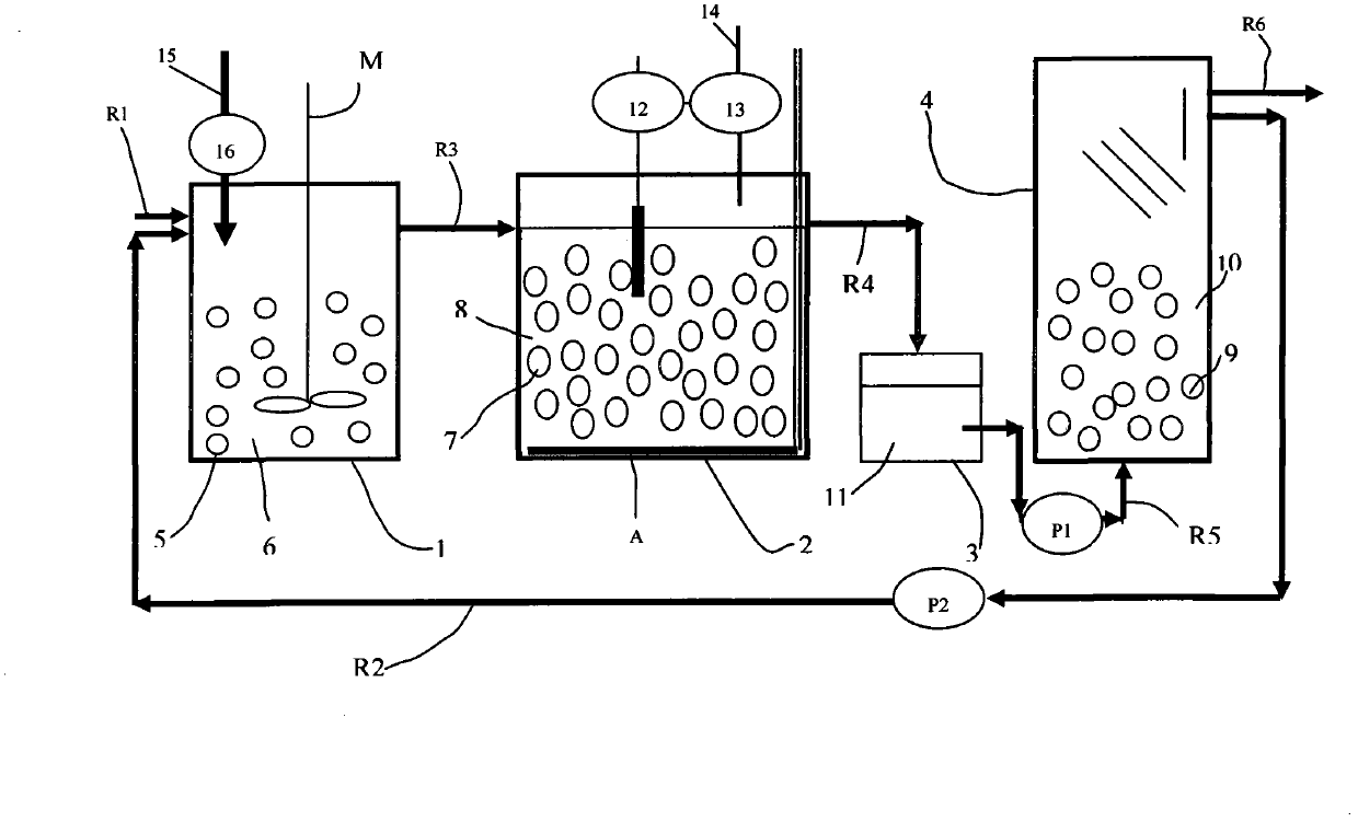 Nitrogen-containing waster water purification method