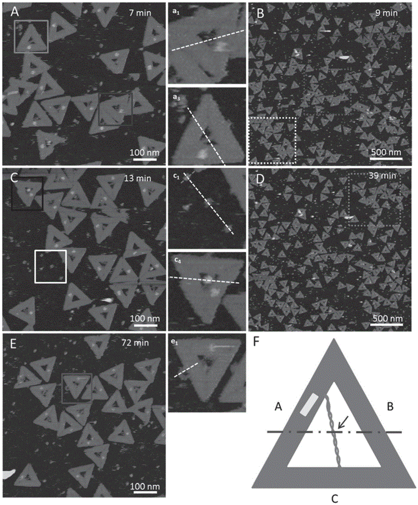 Method for detecting influence of mechanical force on interaction of DNA (deoxyribose nucleic acid) and DNA polymerase