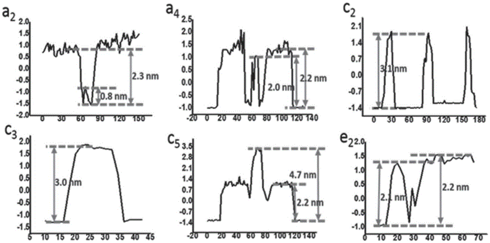 Method for detecting influence of mechanical force on interaction of DNA (deoxyribose nucleic acid) and DNA polymerase