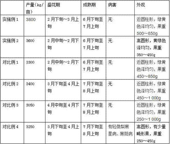 Early-maturing shed type pear cultivation method