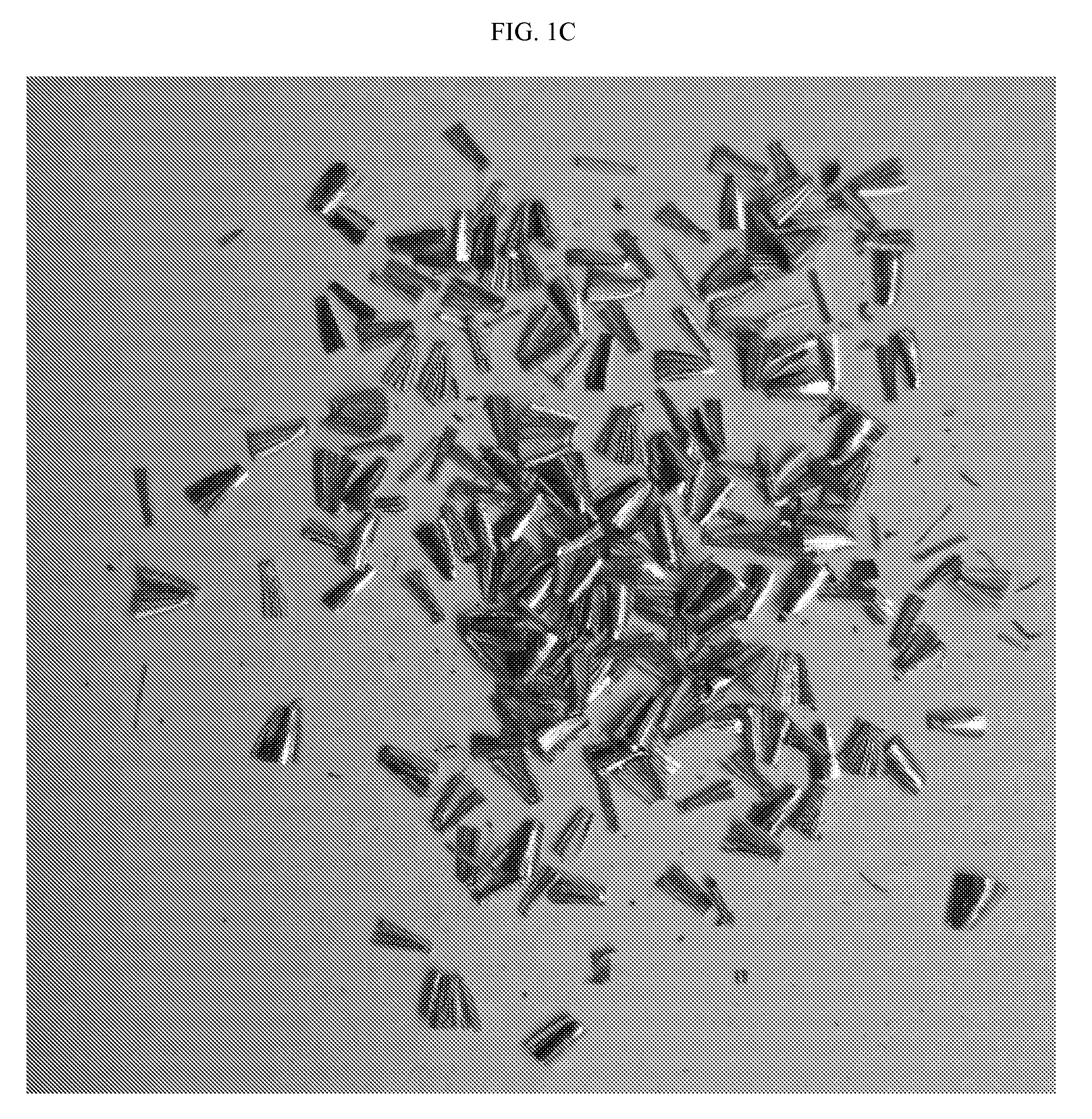 Lead-Free Free-Cutting Aluminum Brass Alloy And Its Manufacturing Method