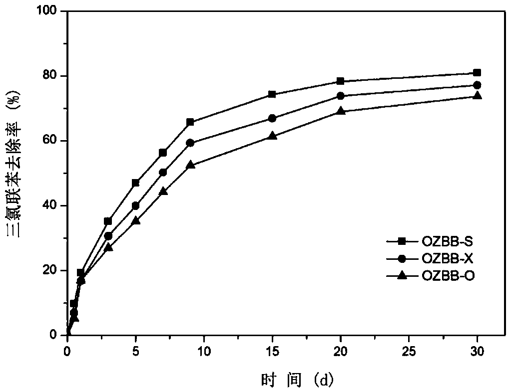 A slow-release composite remediation agent for treating persistent halogenated hydrocarbons in groundwater and preparation method thereof