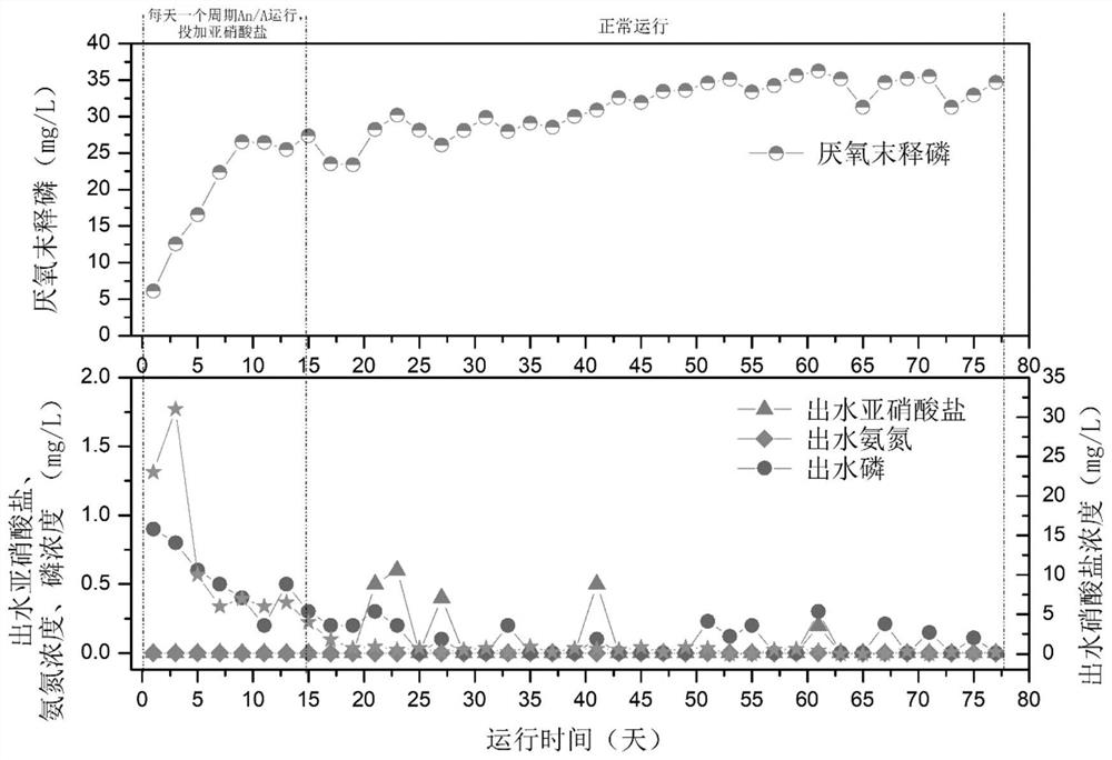 Method for improving nitrogen and phosphorus removal efficiency of sewage by enhancing denitrifying phosphorus accumulation through nitrite