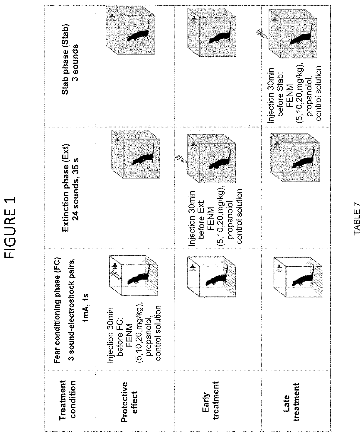 Use of fluoroethylnormemantine for the prevention and treatment of anxiety