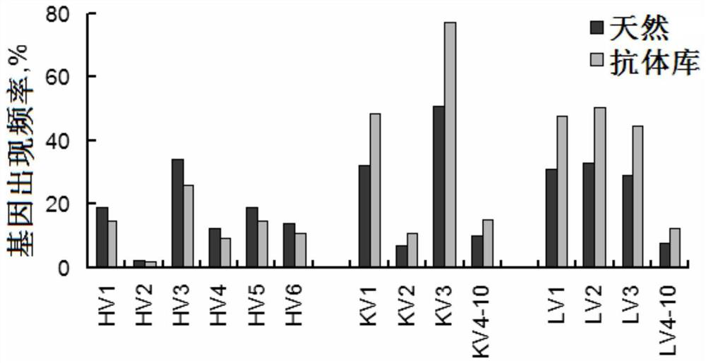 Anti-human CCL1 antibody and application thereof