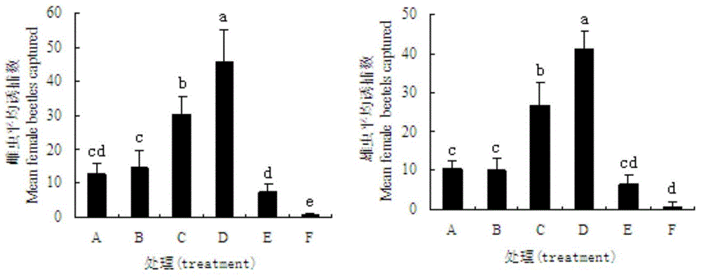 Components and formula of attractant of tomicus minor hartig