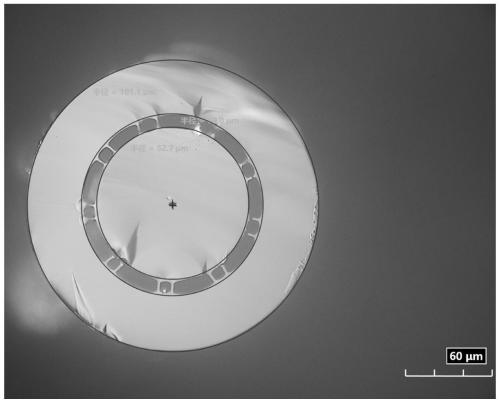 Microstructure optical fiber capable of simultaneously transmitting optical information and optical energy