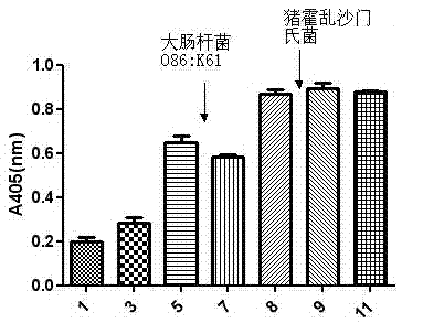 Application of oligonucleotide aptamer capable of identifying salmonella specifically