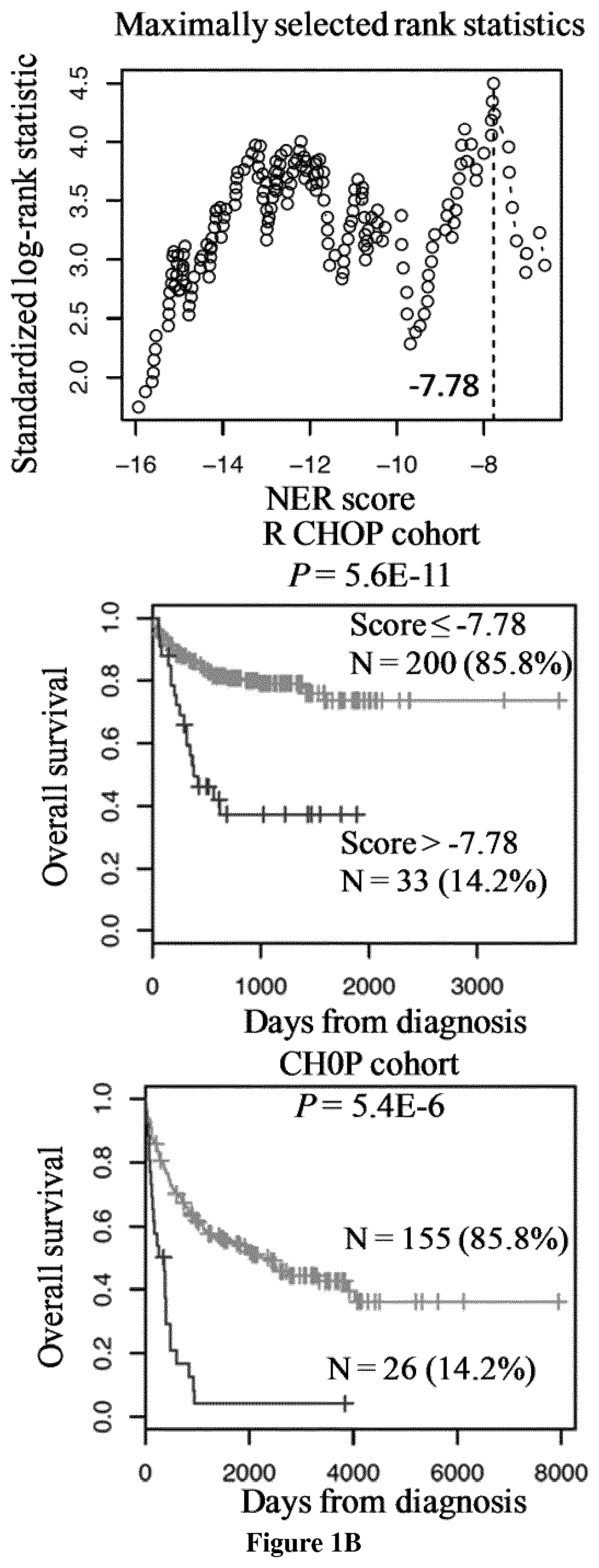 Methods for predicting response to DNA repair pathway inhibitors in diffuse large B-cell lymphoma