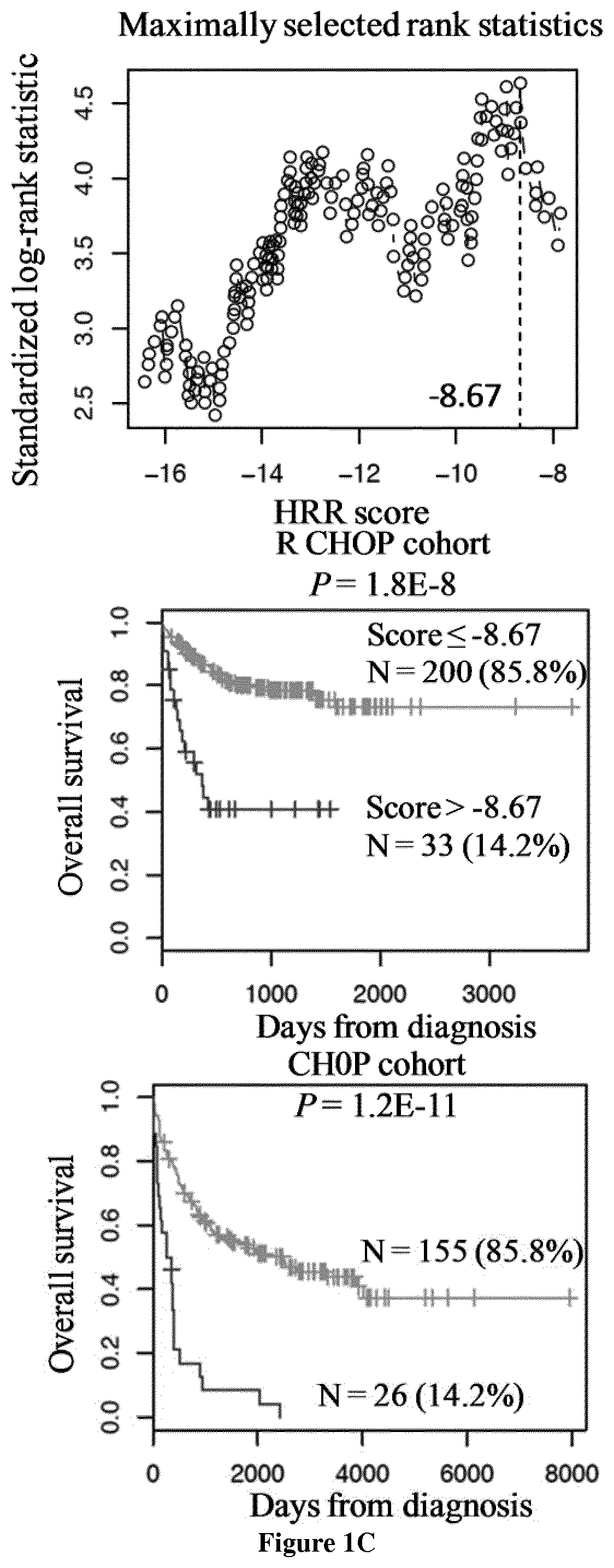 Methods for predicting response to DNA repair pathway inhibitors in diffuse large B-cell lymphoma