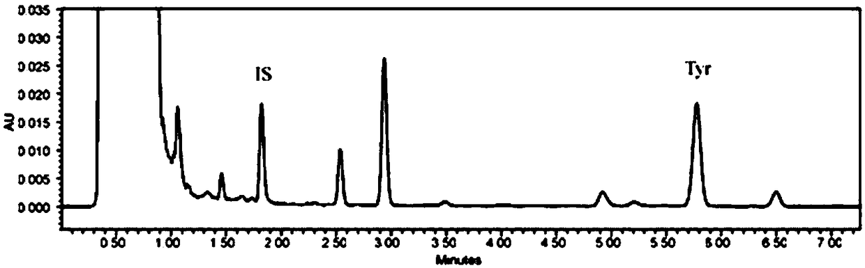 Method for detecting content of tyramine in fermented meat product