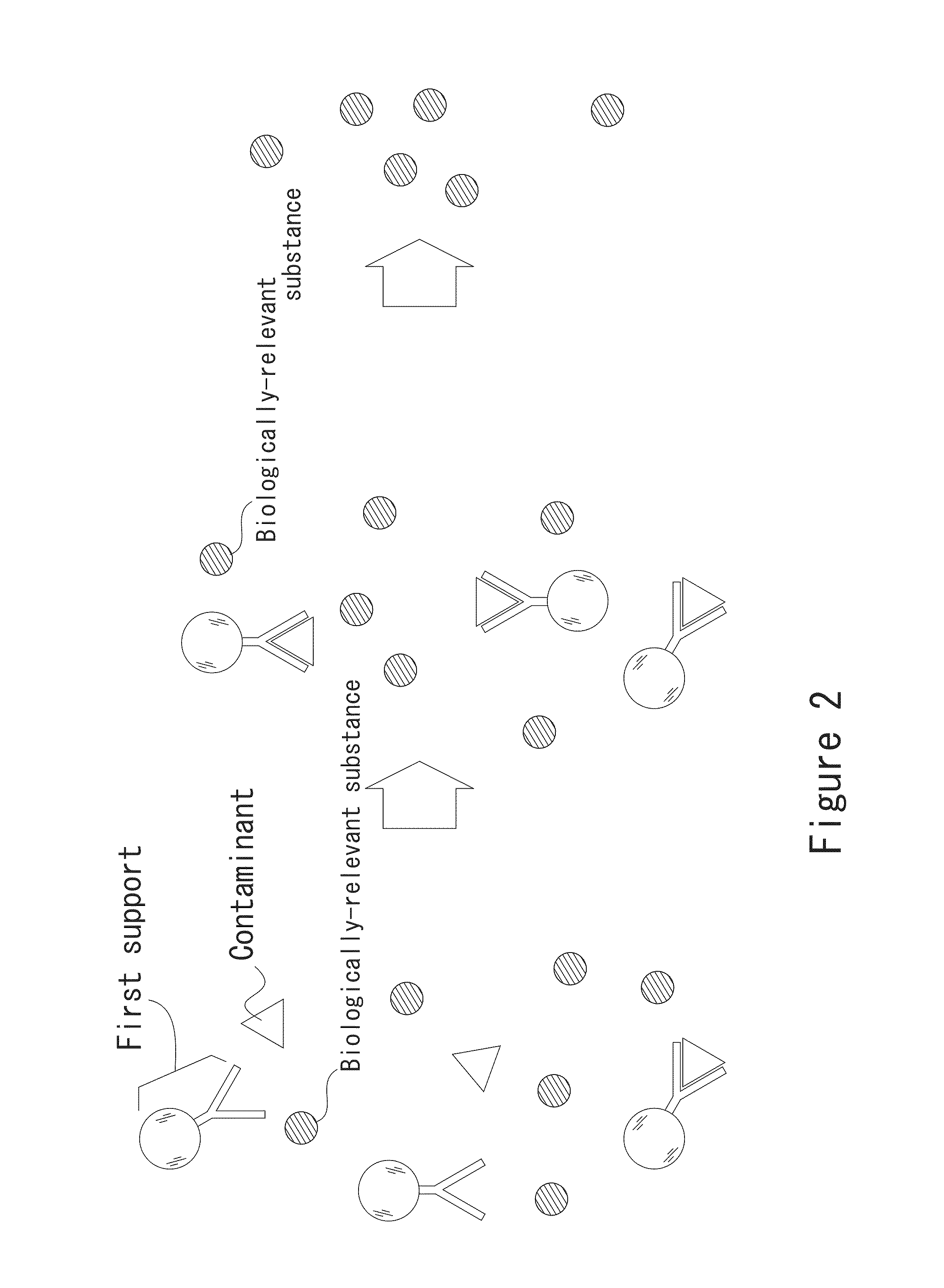 Method for pretreating specimen and method for assaying biological substance