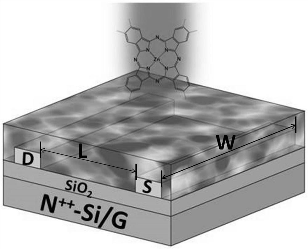 A kind of organic phototransistor and preparation method thereof