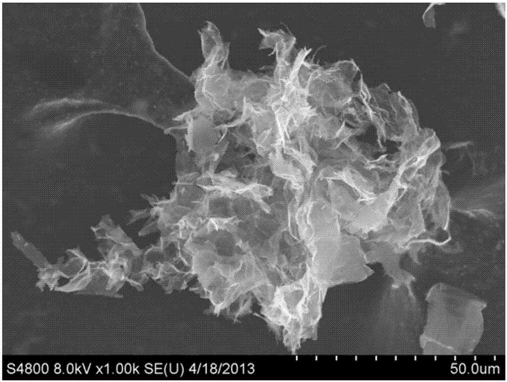 A kind of graphene material powder and preparation method thereof