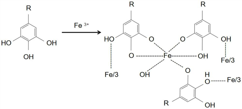 A kind of water-based rust conversion shielding coating and preparation method thereof