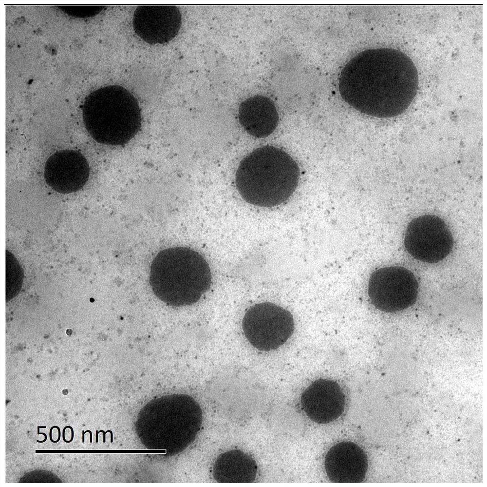 Edible fruit and vegetable nano coating preservative as well as preparation method and application thereof