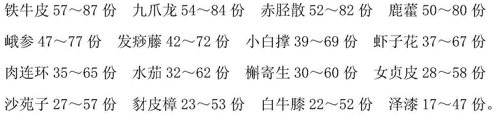 Traditional Chinese medicine preparation for treatment of lumbar muscle strain and preparation method thereof