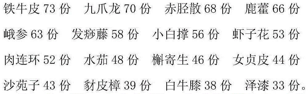 Traditional Chinese medicine preparation for treatment of lumbar muscle strain and preparation method thereof