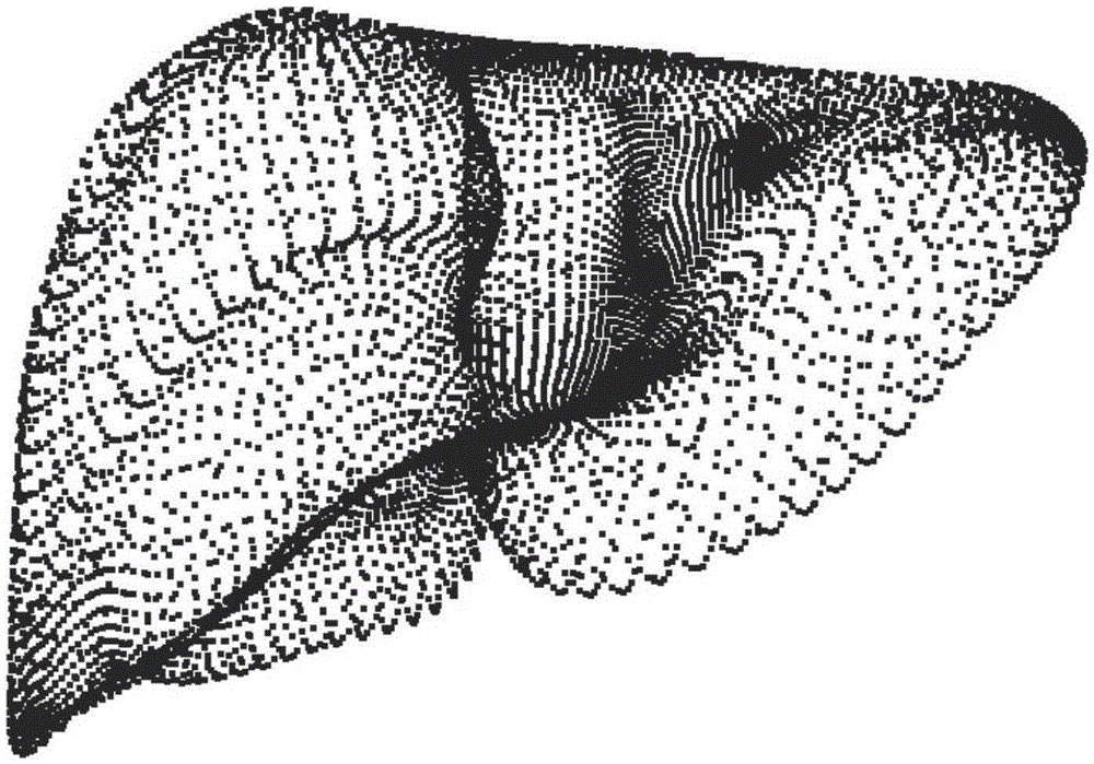 GPU-based automatic generation and collision detection method for soft tissue organ metaball model