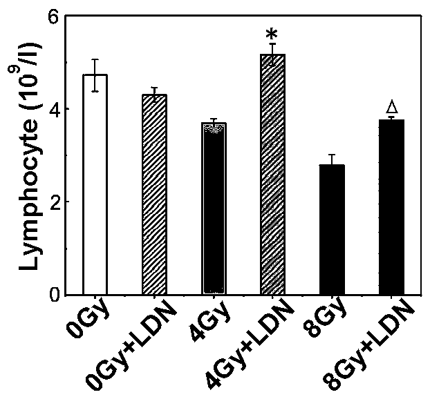 Application of hepcidin antagonist LDN193189 and derivatives thereof to drug preparation